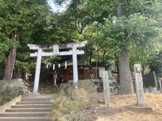 金山浅間神社の参拝記録(レモンサワーさん)