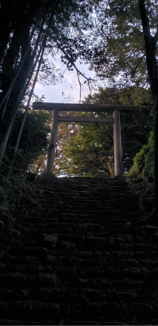 新田神社の参拝記録(®️さん)