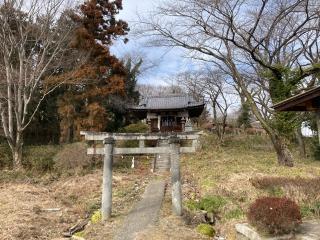 駒形神社の参拝記録(レモンサワーさん)