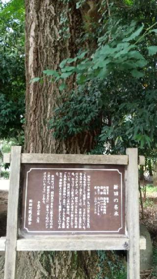松尾神社の参拝記録(zx14rさん)