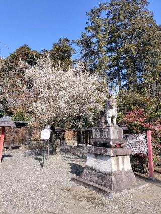 神明宮（大間々神明宮）の参拝記録(さとみさん)