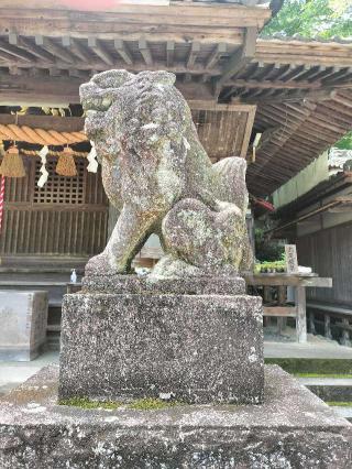白瀧神社の参拝記録(さとみさん)