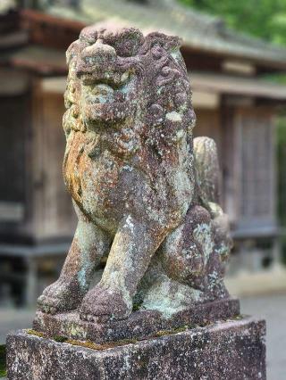 白瀧神社の参拝記録(たけちゃ～ん⚾さん)