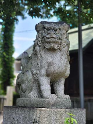 諏訪機神社の参拝記録(たけちゃ～ん⚾さん)