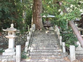 日枝神社の参拝記録(さとみさん)