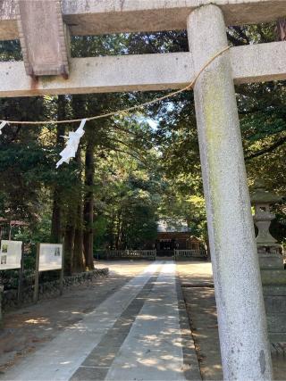 賀茂神社の参拝記録(キッチュさん)