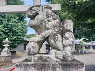 小泉神社の参拝記録(さとみさん)