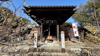 雷電神社の参拝記録(金猿さん)