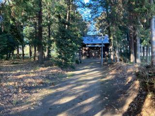長良神社の参拝記録(レモンサワーさん)