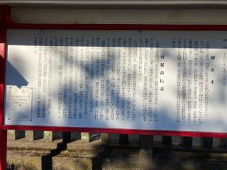 宵稲荷神社（初曳稲荷）の参拝記録(レモンサワーさん)