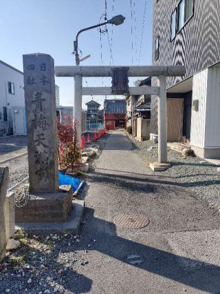 青梅神社の参拝記録(さとみさん)