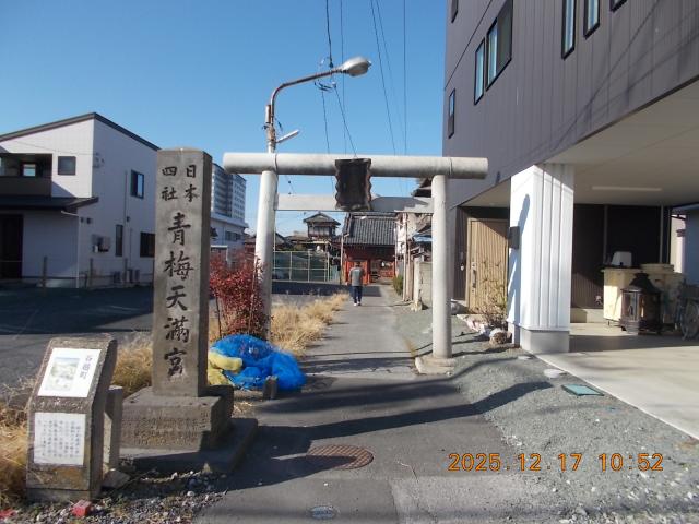 群馬県館林市本町2丁目8番22号 青梅神社の写真3