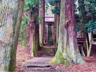 三島神社の参拝記録(shikigami_hさん)
