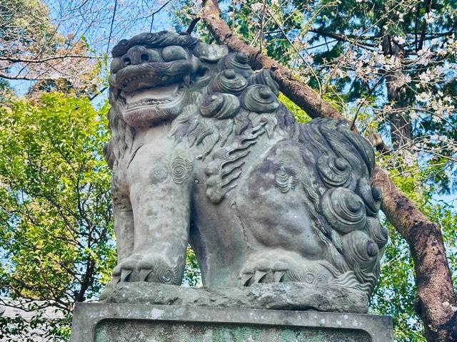 赤城神社の参拝記録1