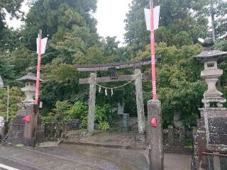 渋川八幡宮の参拝記録(🐺⛩️🐺さん)
