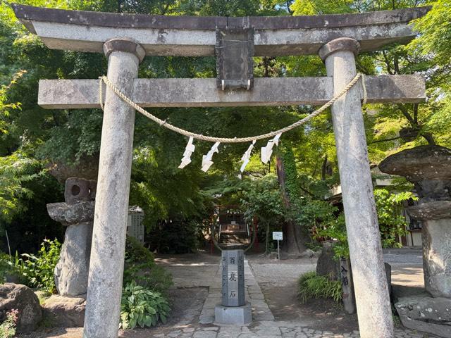 渋川八幡宮の参拝記録3