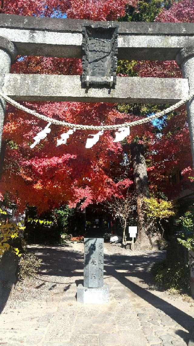 渋川八幡宮の参拝記録10