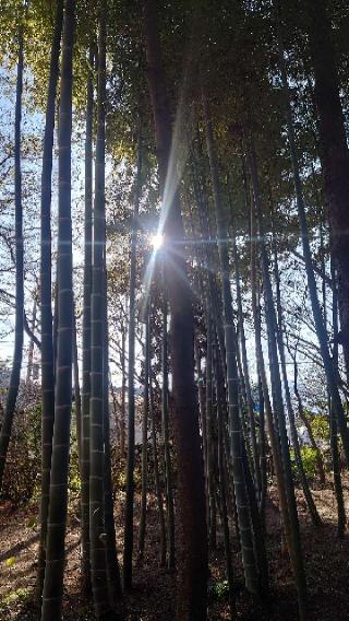 渋川八幡宮の参拝記録(NORI@0102さん)