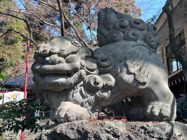 渋川八幡宮の参拝記録5
