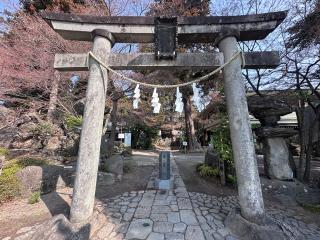 渋川八幡宮の参拝記録(shikigami_hさん)