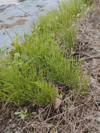 熊野神社の参拝記録(さとみさん)