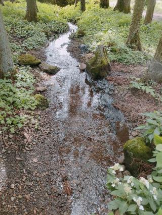 熊野神社の参拝記録(さとみさん)