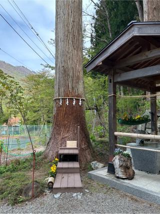 富士浅間神社の参拝記録(神追人さん)