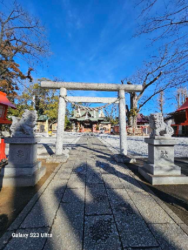 上野總社神社の参拝記録(ゆなじじさん)
