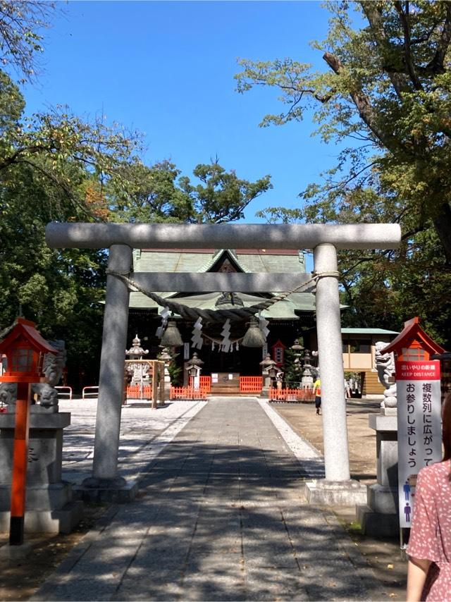 上野總社神社の参拝記録(cooさん)