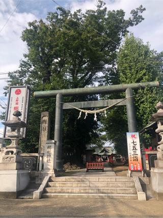 上野總社神社の参拝記録(あおさん)