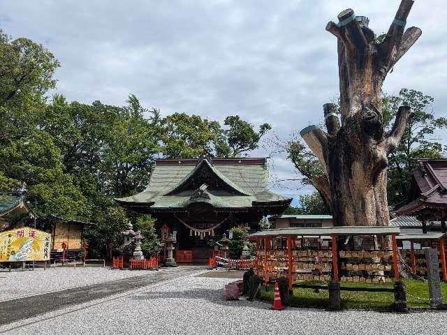 上野總社神社の参拝記録5