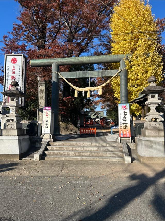 上野總社神社の参拝記録6