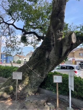 岩神稲荷神社の参拝記録(⛩️🎠🐢まめ🐢🎠⛩️さん)