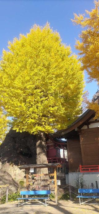 岩神稲荷神社の参拝記録(匿名さん)