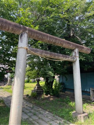 飯玉神社の参拝記録(⛩️🐍🐢まめ🐢🐍⛩️さん)