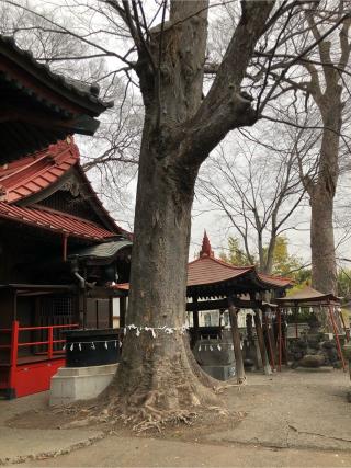 片貝神社の参拝記録(よしさん)