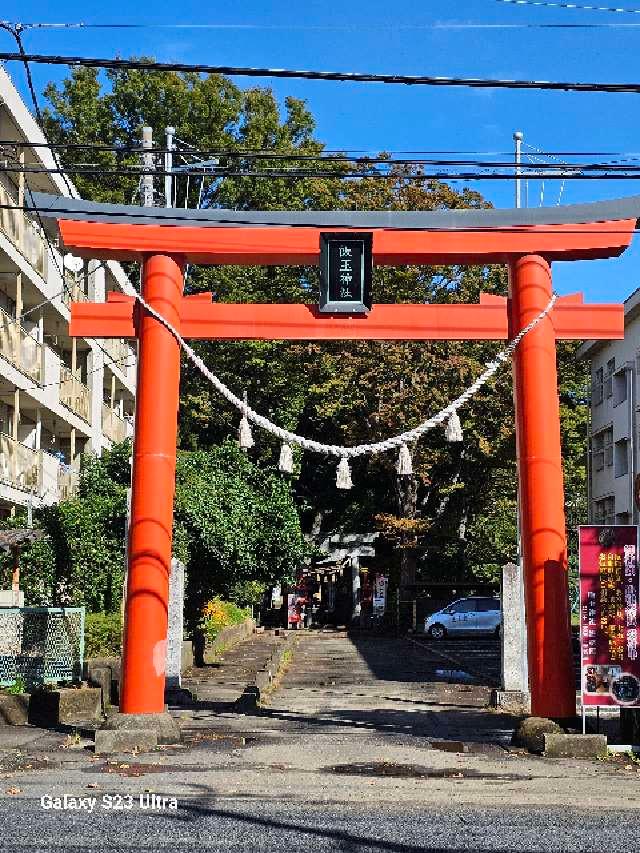 飯玉神社の参拝記録5