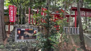 飯玉神社の参拝記録(ヒムロックさん)