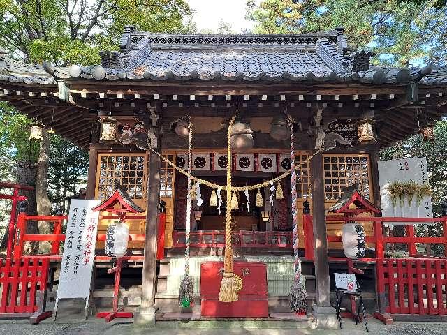 飯玉神社の参拝記録9