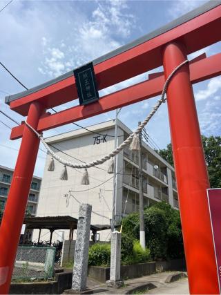 飯玉神社の参拝記録(⛩️🐍🐢まめ🐢🐍⛩️さん)