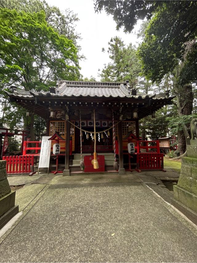 飯玉神社の参拝記録7