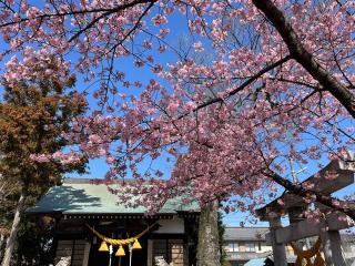 鏡神社の参拝記録(さーぴょん🐰❤️さん)