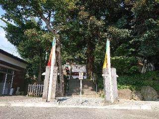住吉神社の参拝記録(ひさぽんさん)
