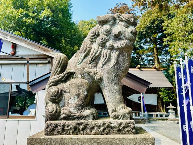 住吉神社の参拝記録3