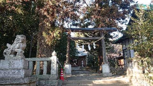 群馬県前橋市河原浜町615番地　　　　　　 大胡神社の写真1