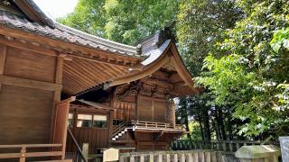 鷺宮咲前神社の参拝記録(金猿さん)