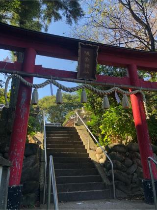 鷺宮咲前神社の参拝記録(あおさん)
