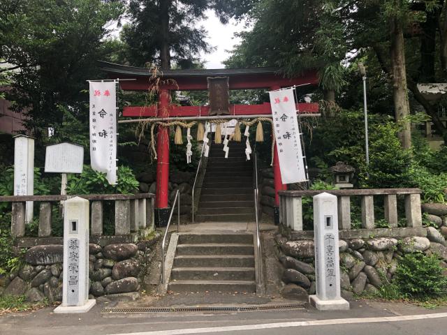 群馬県安中市鷺宮3308 鷺宮咲前神社の写真3