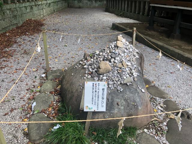 群馬県安中市鷺宮3308 鷺宮咲前神社の写真6