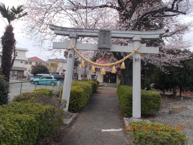 井野神社の写真1